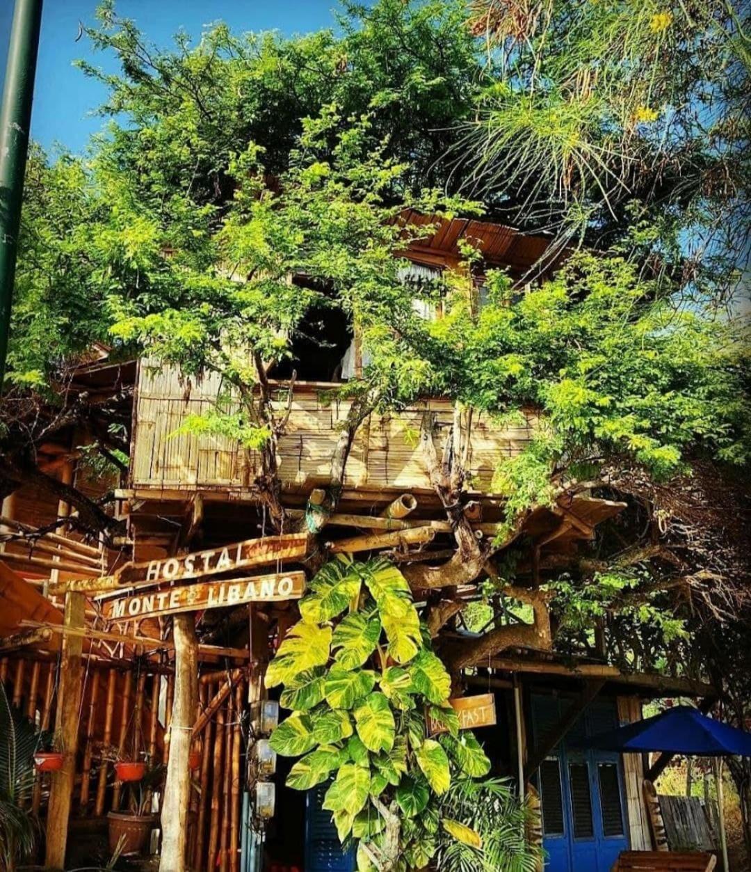 Hostal Monte Libano Puerto López Dış mekan fotoğraf